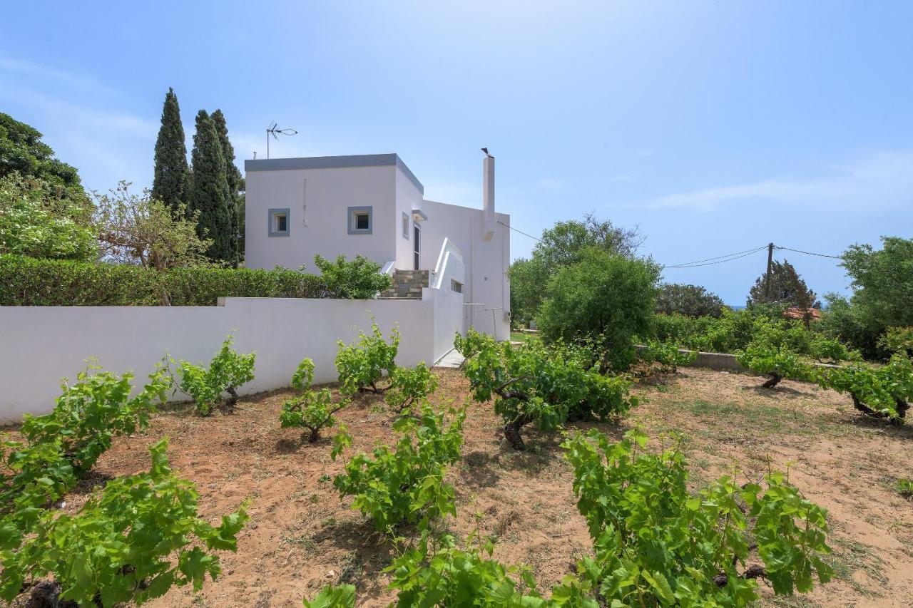 Villa Evelyn Pefki المظهر الخارجي الصورة